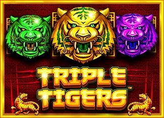 Triple Tigers - CAMPSLOT138