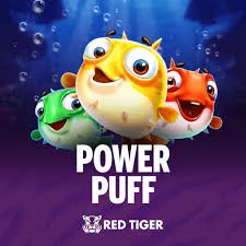 Redtiger : Power Puff - CAMPSLOT138