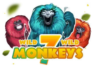 7 Monkeys - CAMPSLOT138