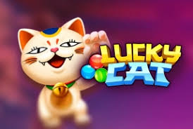 Funky : Lucky Cat - CAMPSLOT138
